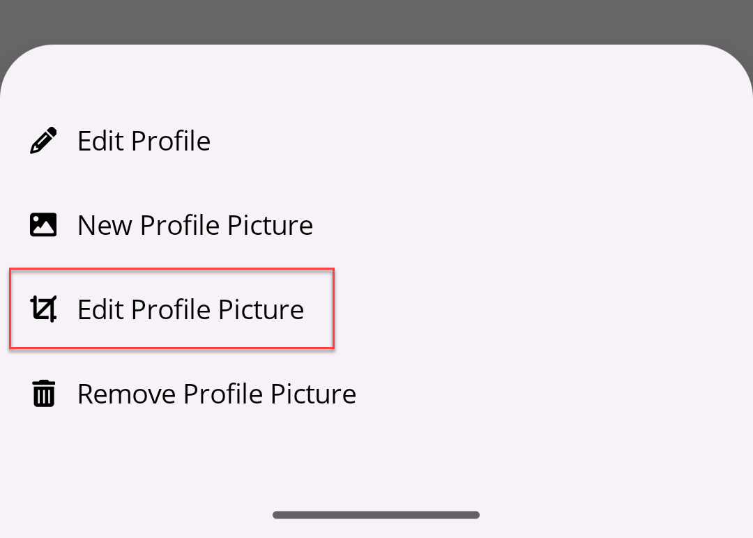 Edit Profile Picture menu