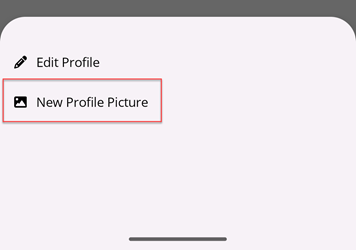 New Profile Picture menu