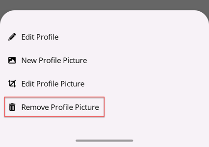 Remove Profile Picture menu