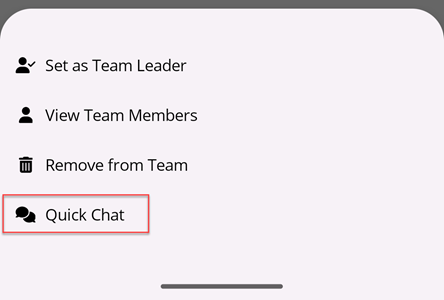 Quick Chat Button