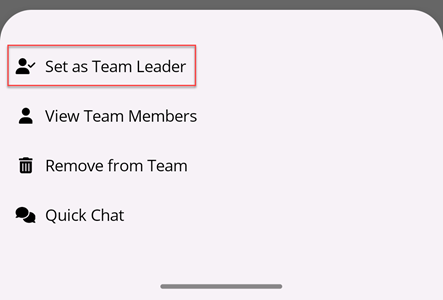 Add Team Leader Button