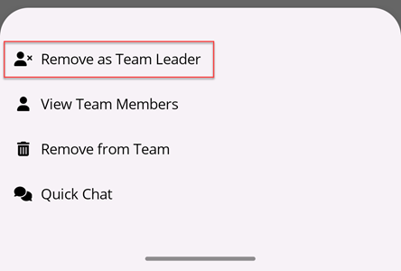 Remove Team Leader Button
