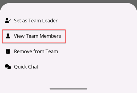 View Team Members Button